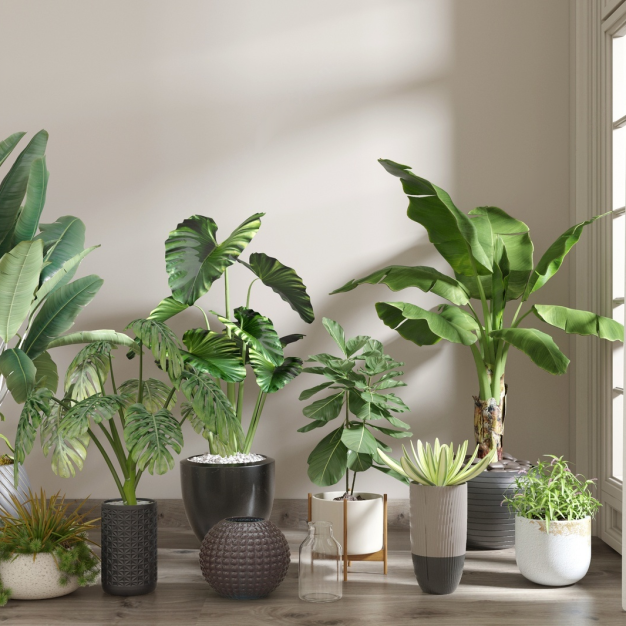 现代植物盆栽组合3D模型