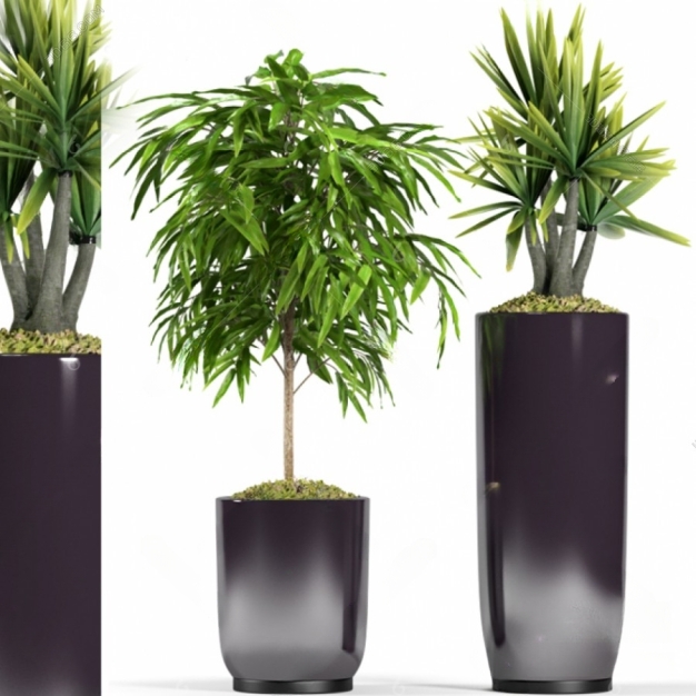 现代植物 盆栽组合3D模型