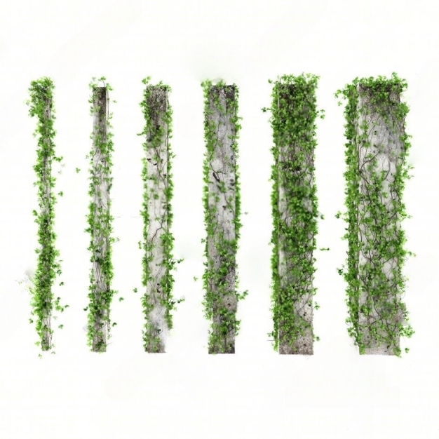 现代植物藤蔓 爬藤3D模型