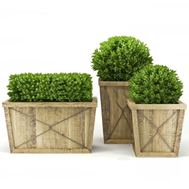 现代植物盆栽3D模型