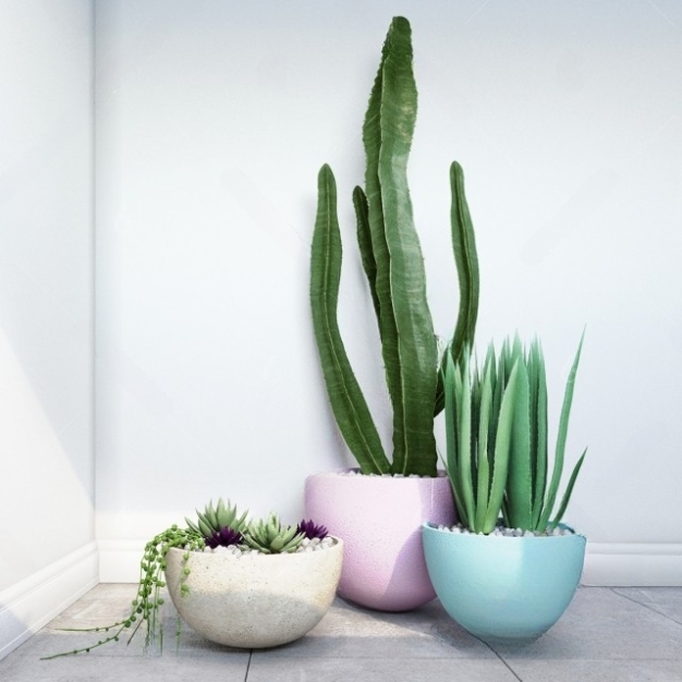 现代植物盆栽组合3D模型
