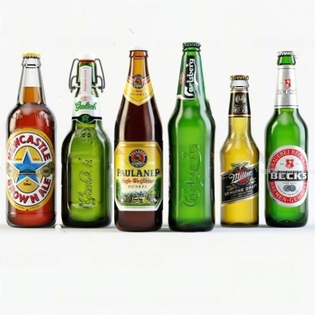 现代啤酒 酒瓶3D模型