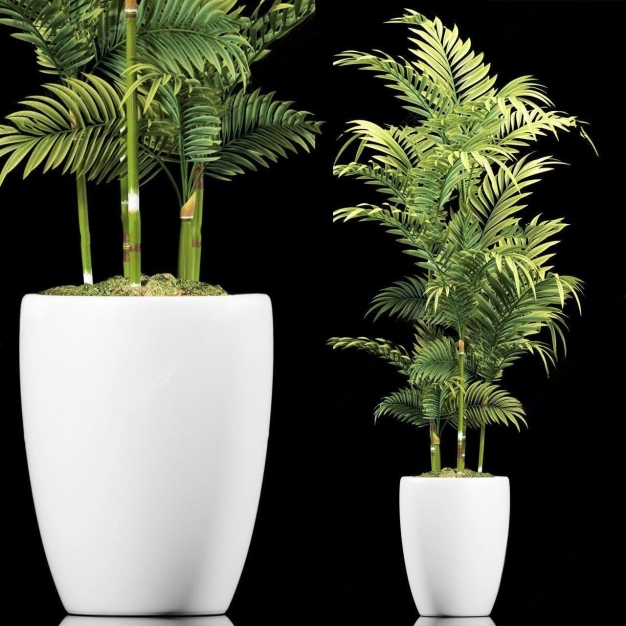 现代植物 盆栽3D模型