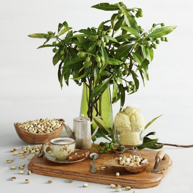 现代食物 咖啡 植物3D模型