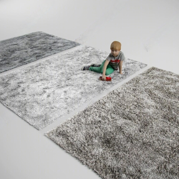 现代毛绒地毯3D模型