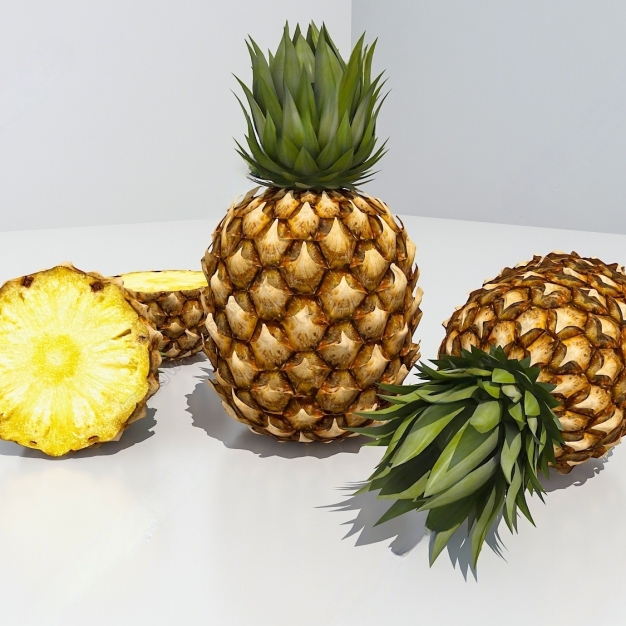 现代水果菠萝凤梨3D模型