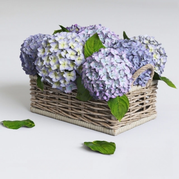 现代花卉 鲜花 花艺3D模型