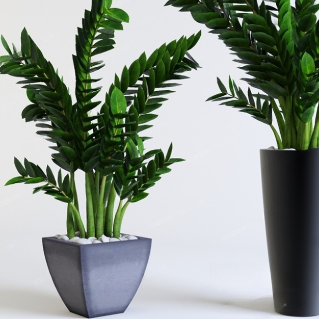 现代植物盆栽3D模型