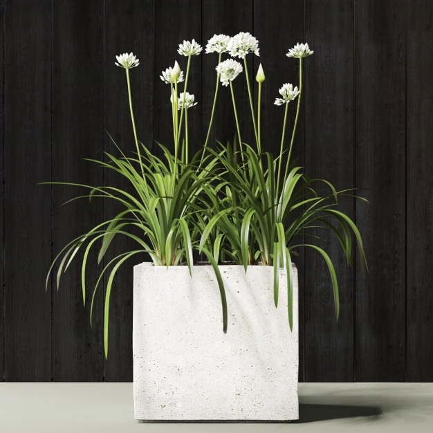 现代植物盆栽3D模型