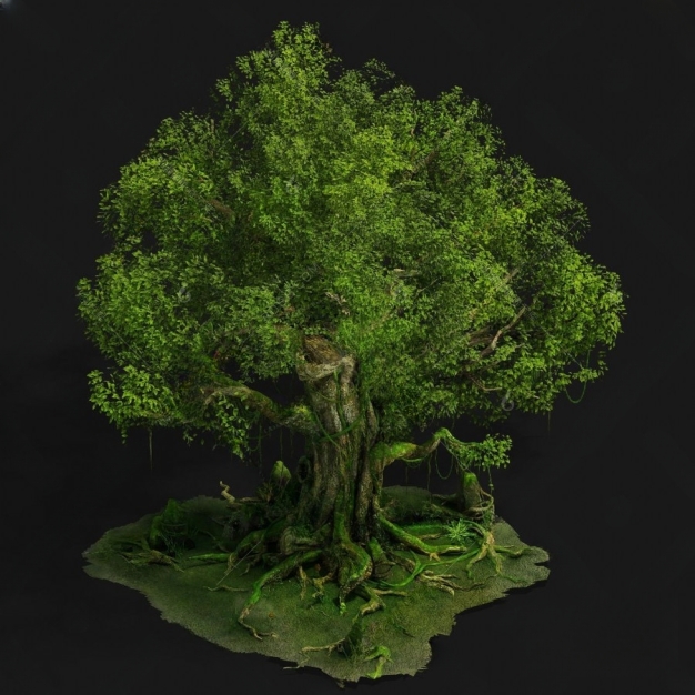 树 大树 乔木 树木3D模型