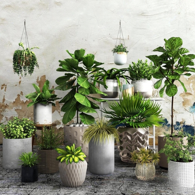 现代植物盆栽组合3D模型