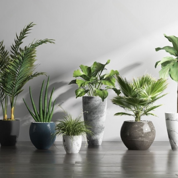 现代植物盆栽组合3D模型