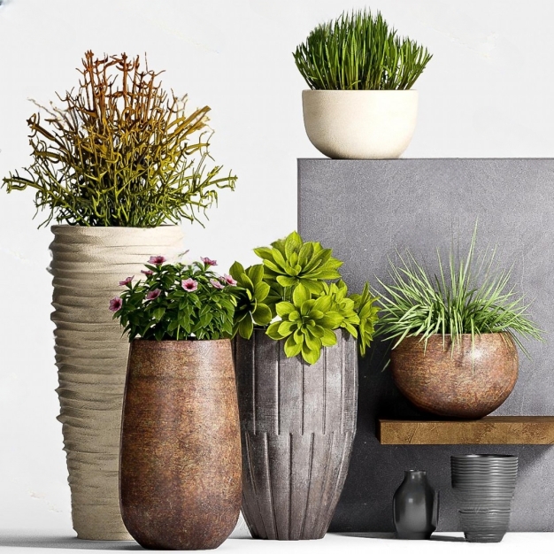 现代植物盆栽组合3D模型