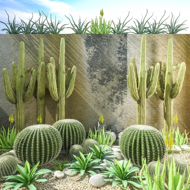 现代仙人掌植物3D模型
