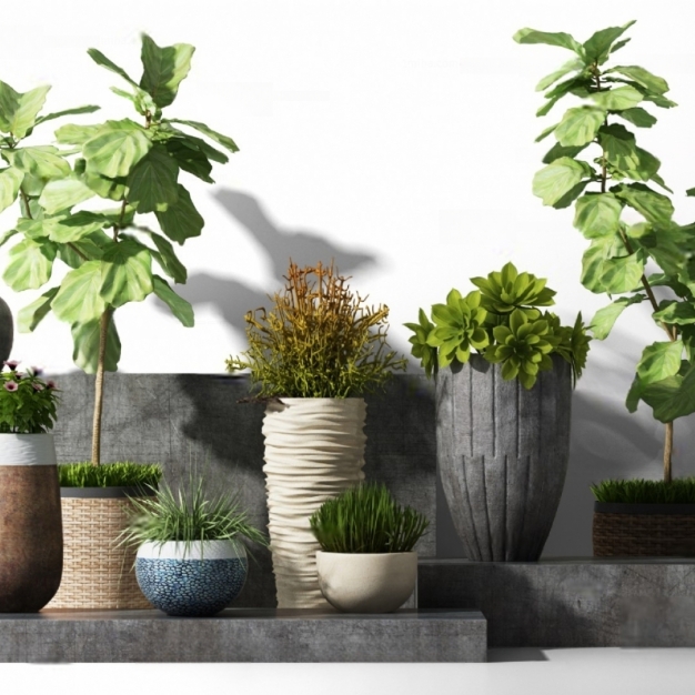 现代植物盆栽组合3D模型