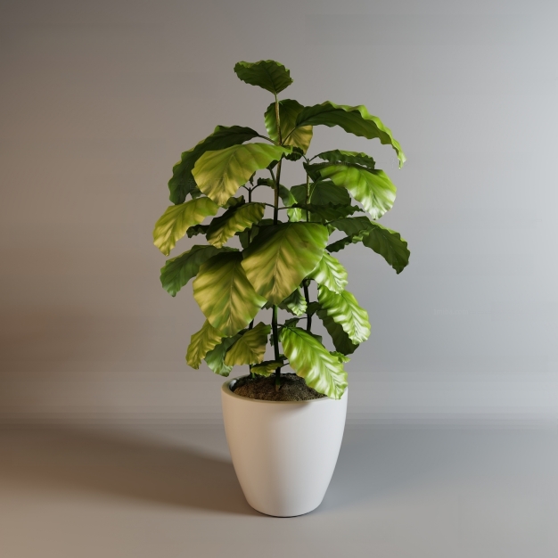 现代植物盆栽3D模型