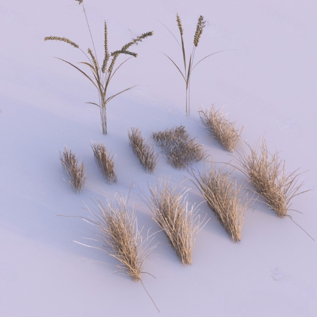 现代枯草3D模型
