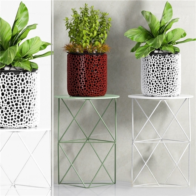 现代植物盆栽组合3D模型