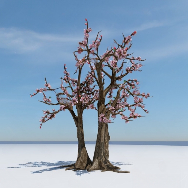 现代树木3D模型