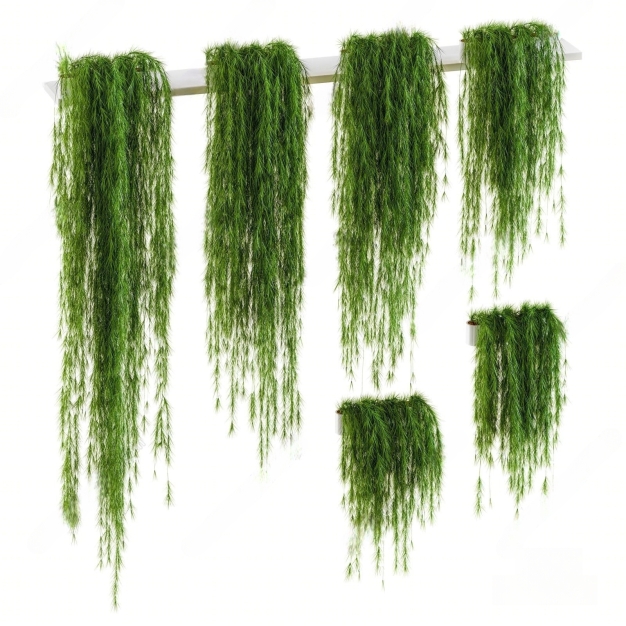 现代植物吊篮3D模型