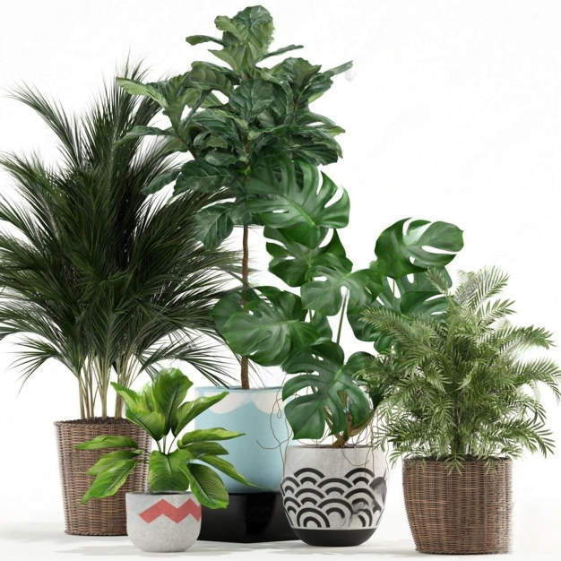 现代植物盆栽3D模型