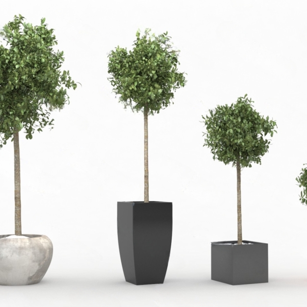 现代植物盆栽3D模型