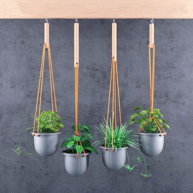 知道植物盆栽3D模型