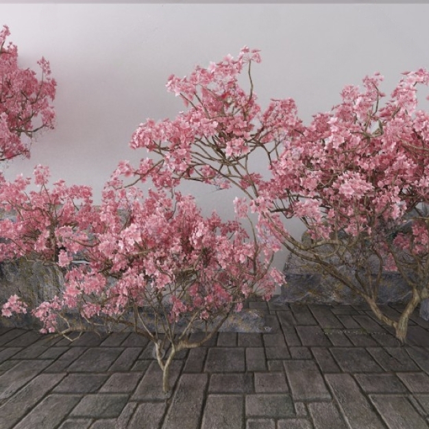 景观树木 石头3D模型