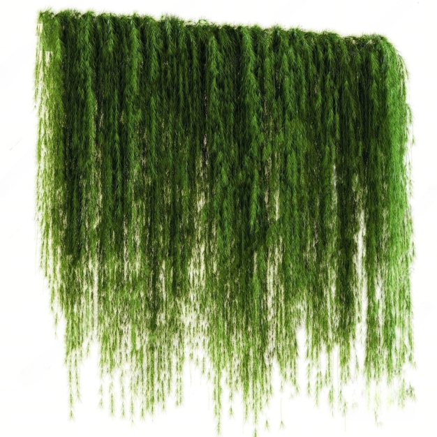 现代藤蔓植物3D模型