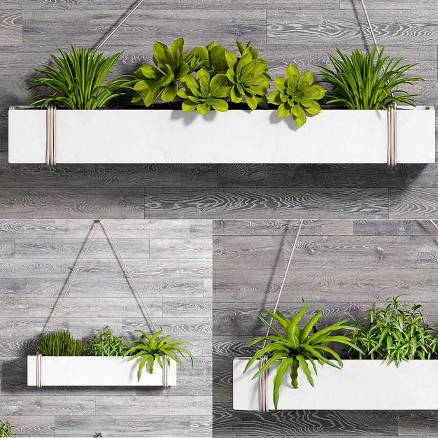 现代植物盆栽3D模型