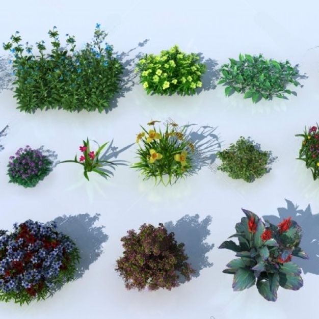 现代花草植物3D模型