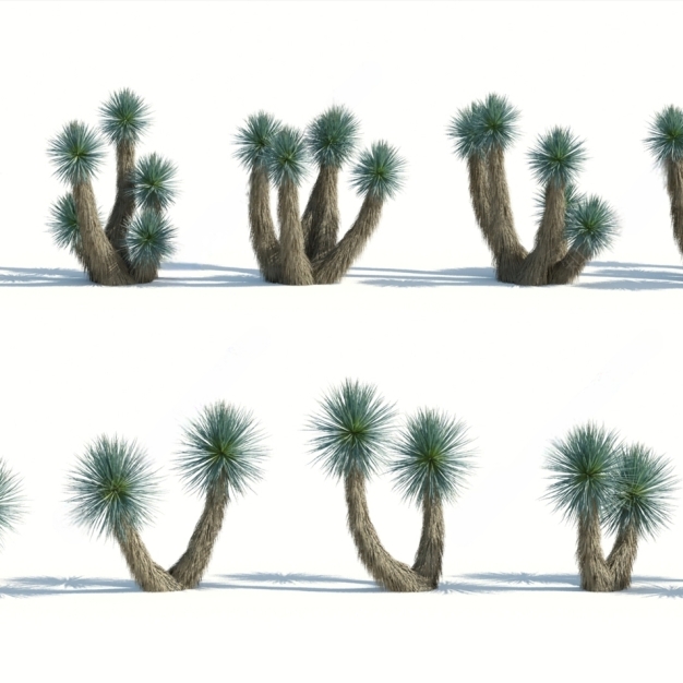 现代沙漠植物3D模型