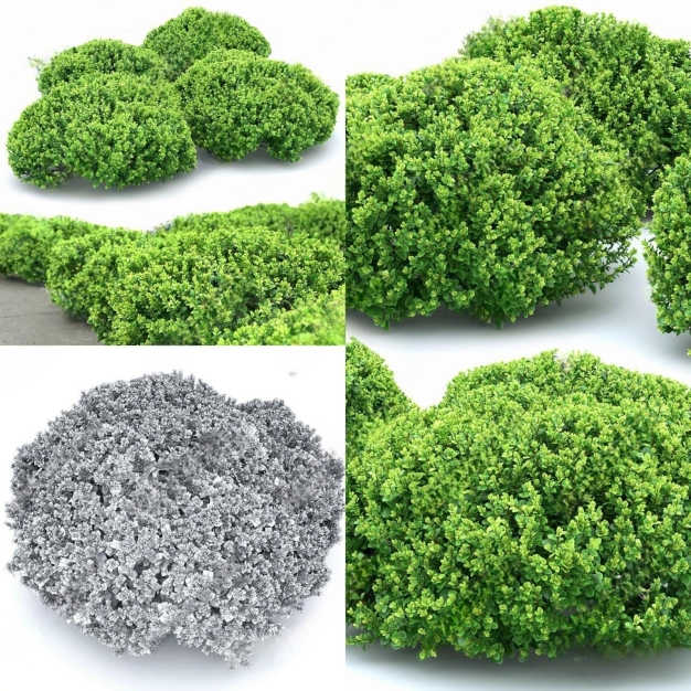 植物灌木3D模型