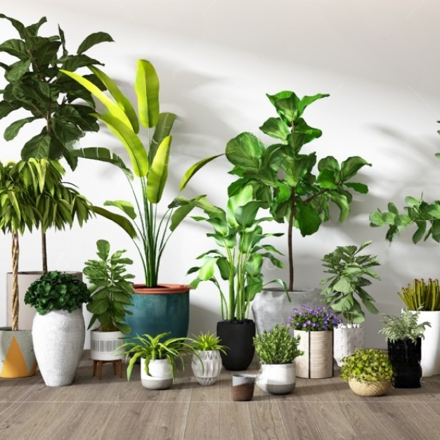 现代植物盆栽组合3D模型