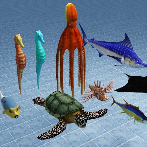 海洋动物3D模型