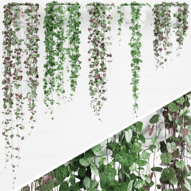 植物吊篮3D模型