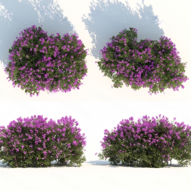 花草植物3D模型