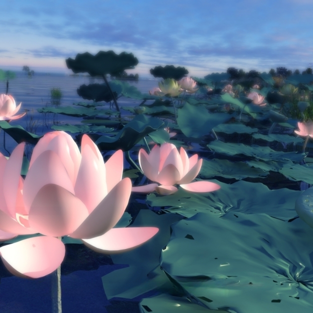 园林景观荷花  荷塘3D模型