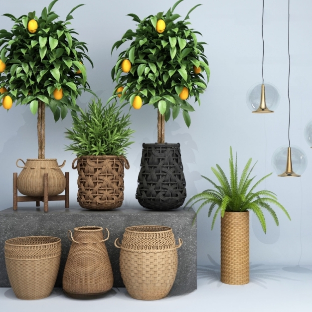 现代植物盆栽3D模型