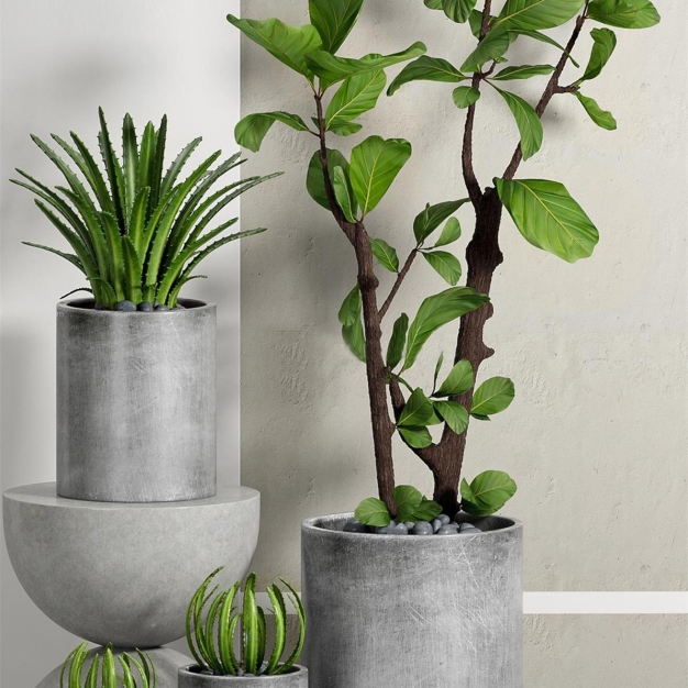 现代植物盆栽3D模型