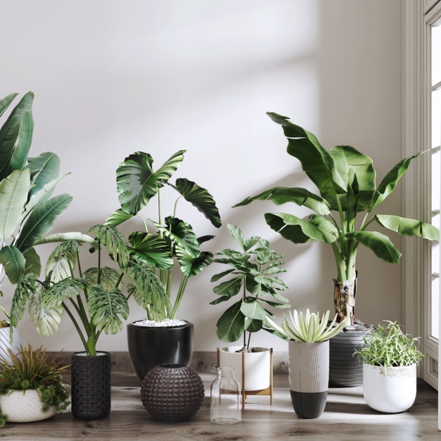 植物盆栽组合3D模型