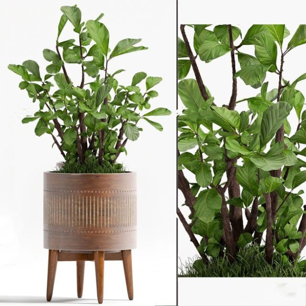 现代植物盆栽3D模型