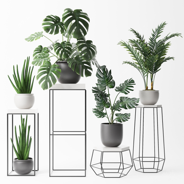 植物盆栽3D模型