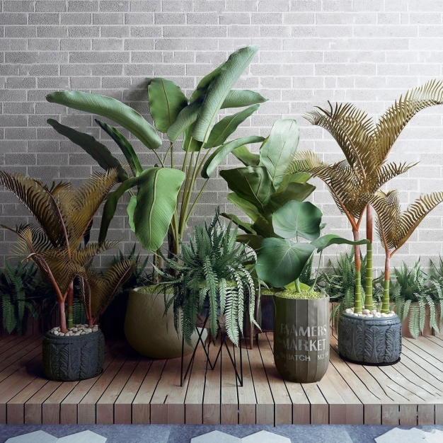 植物盆栽组合3D模型