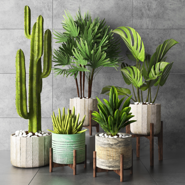 现代植物盆栽3D模型