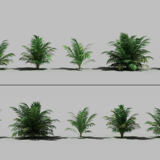 植物3D模型