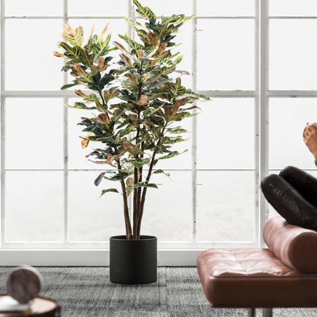 现代植物盆栽3D模型
