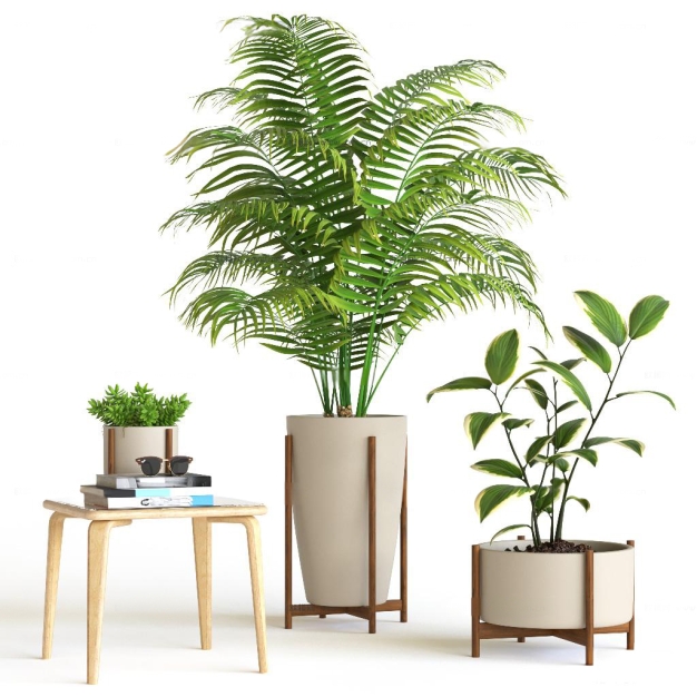 现代植物盆栽3D模型