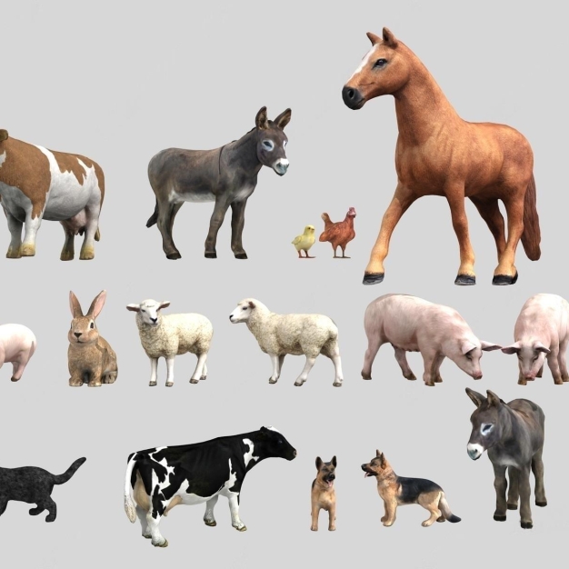 动物 牛 马 羊 兔子3D模型