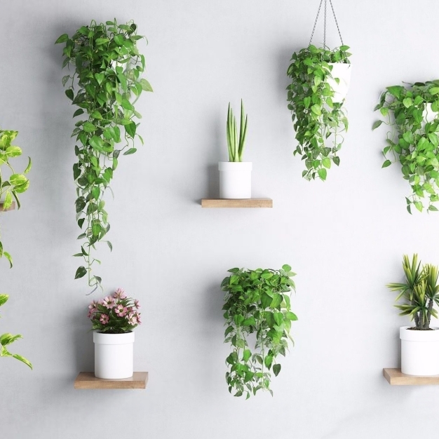 现代植物盆栽3D模型